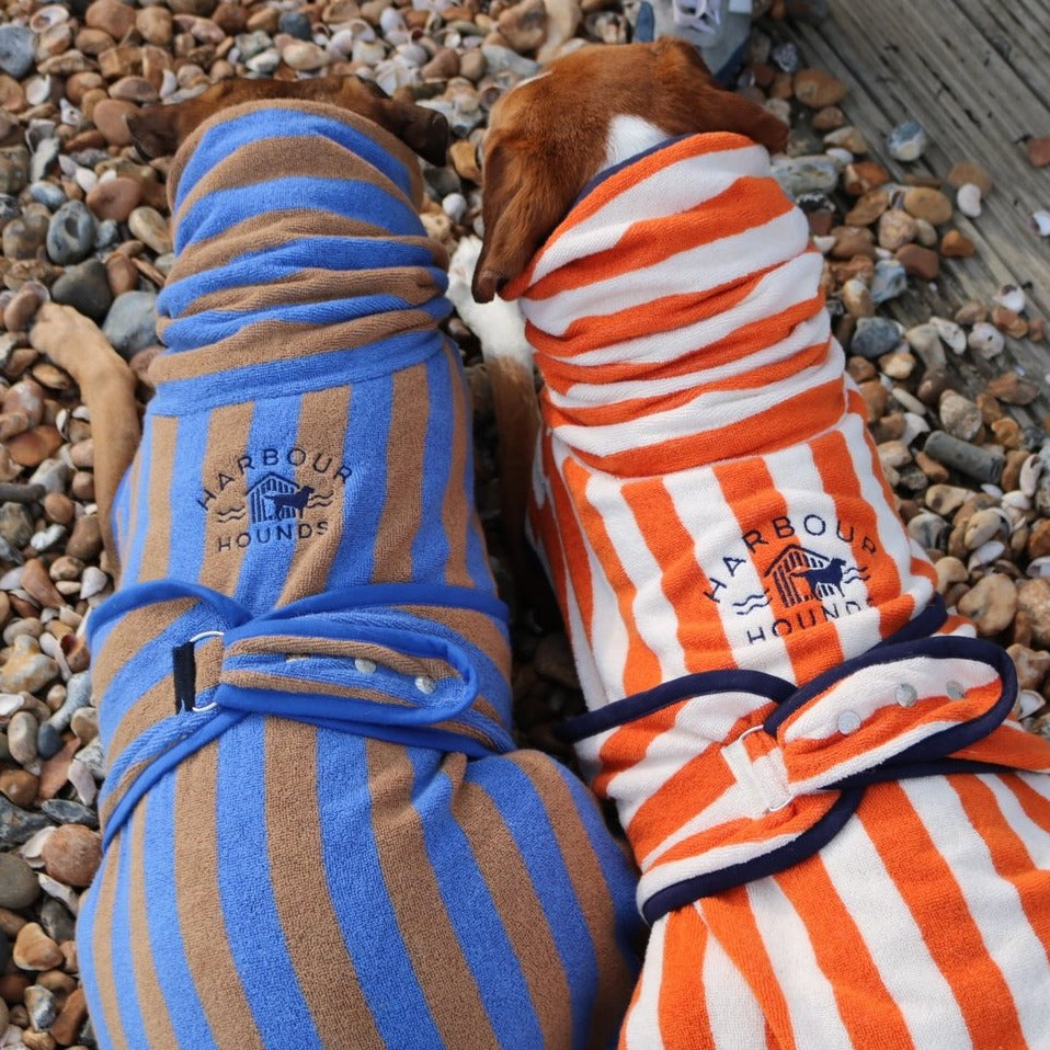 Dog best sale drying robes