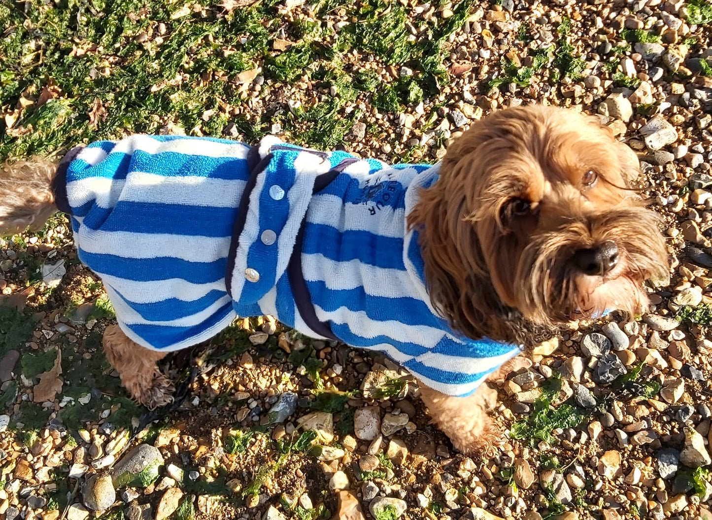 Harbour Hounds - Dog Drying Robes